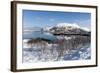 Along the National Tourist Road, Lofoten Islands, Arctic, Norway, Scandinavia-Sergio Pitamitz-Framed Photographic Print