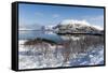 Along the National Tourist Road, Lofoten Islands, Arctic, Norway, Scandinavia-Sergio Pitamitz-Framed Stretched Canvas