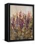 Along the Path III-Tim O'toole-Framed Stretched Canvas