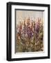 Along the Path III-Tim O'toole-Framed Giclee Print