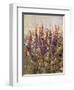 Along the Path III-Tim O'toole-Framed Giclee Print