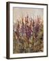 Along the Path III-Tim O'toole-Framed Giclee Print