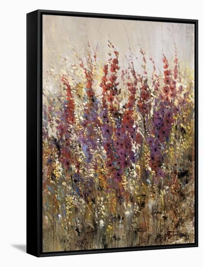 Along the Path III-Tim O'toole-Framed Stretched Canvas