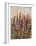 Along the Path III-Tim O'toole-Framed Giclee Print