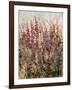 Along the Path IV-Tim O'toole-Framed Giclee Print