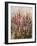 Along the Path IV-Tim O'toole-Framed Giclee Print