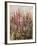 Along the Path IV-Tim O'toole-Framed Giclee Print