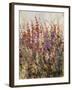 Along the Path IV-Tim O'toole-Framed Giclee Print