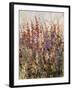 Along the Path IV-Tim O'toole-Framed Giclee Print