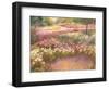 Along the Path-Carol Bailey-Framed Art Print