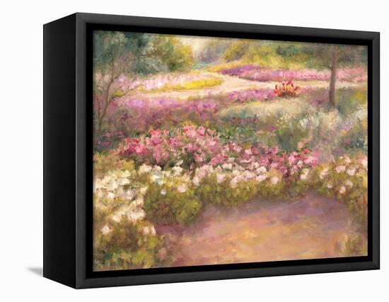 Along the Path-Carol Bailey-Framed Stretched Canvas