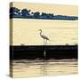 Along the Pier-Bruce Nawrocke-Stretched Canvas