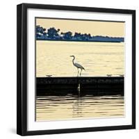 Along the Pier-Bruce Nawrocke-Framed Photographic Print