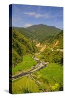 Along the Rice Terraces from Bontoc to Banaue, Luzon, Philippines, Southeast Asia, Asia-Michael Runkel-Stretched Canvas