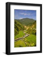 Along the Rice Terraces from Bontoc to Banaue, Luzon, Philippines, Southeast Asia, Asia-Michael Runkel-Framed Photographic Print