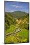 Along the Rice Terraces from Bontoc to Banaue, Luzon, Philippines, Southeast Asia, Asia-Michael Runkel-Mounted Photographic Print