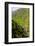 Along the Rice Terraces from Bontoc to Banaue, Luzon, Philippines-Michael Runkel-Framed Photographic Print