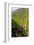 Along the Rice Terraces from Bontoc to Banaue, Luzon, Philippines-Michael Runkel-Framed Photographic Print