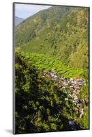 Along the Rice Terraces from Bontoc to Banaue, Luzon, Philippines-Michael Runkel-Mounted Photographic Print