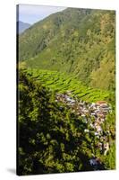 Along the Rice Terraces from Bontoc to Banaue, Luzon, Philippines-Michael Runkel-Stretched Canvas