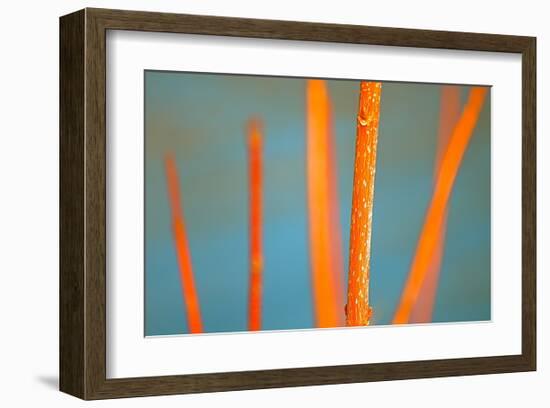 Along the River No. 5-Ulpi Gonzalez-Framed Art Print