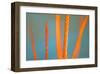 Along the River No. 5-Ulpi Gonzalez-Framed Art Print