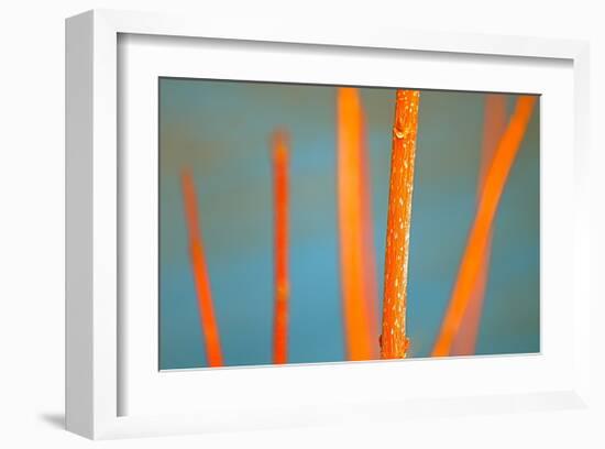 Along the River No. 5-Ulpi Gonzalez-Framed Art Print