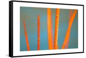 Along the River No. 5-Ulpi Gonzalez-Framed Stretched Canvas
