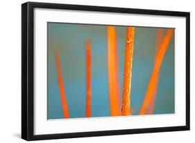 Along the River No. 5-Ulpi Gonzalez-Framed Art Print