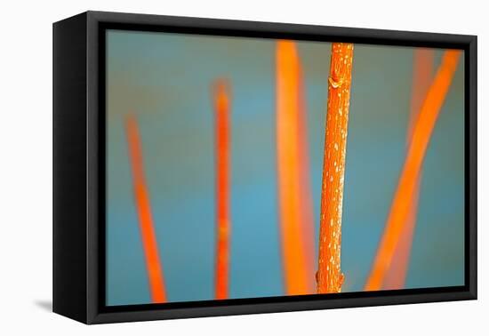 Along the River No. 5-Ulpi Gonzalez-Framed Stretched Canvas