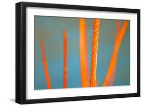 Along the River No. 5-Ulpi Gonzalez-Framed Premium Giclee Print