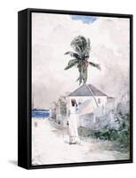 Along the Road, the Bahamas, 1885-Winslow Homer-Framed Stretched Canvas