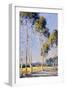 Along the Road-Anna Hills-Framed Art Print