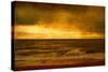 Along The Seashore-Osaria Copperstone-Stretched Canvas