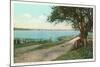 Along the Shore at New Castle, New Hampshire-null-Mounted Art Print