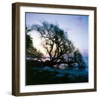 Along the Shore-Mike Toy-Framed Giclee Print