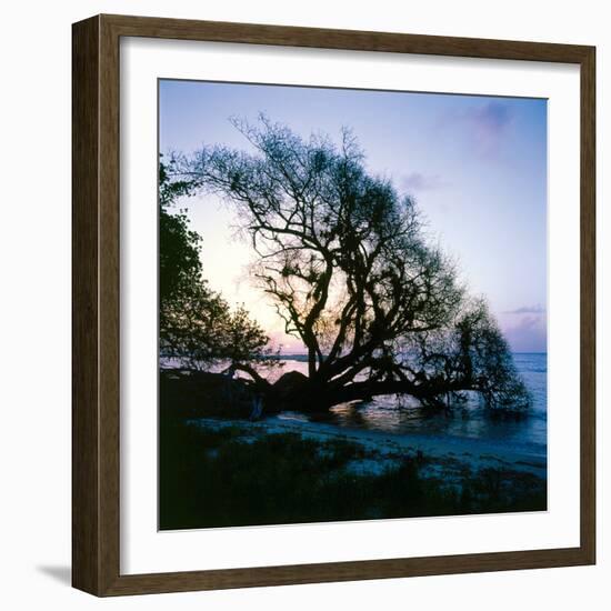 Along the Shore-Mike Toy-Framed Giclee Print