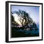 Along the Shore-Mike Toy-Framed Giclee Print