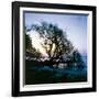 Along the Shore-Mike Toy-Framed Giclee Print