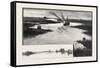 Along the St. Clair Flats, Canada, Nineteenth Century-null-Framed Stretched Canvas