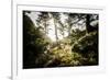 Along the Washington Coast-Steven Gnam-Framed Photographic Print