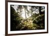 Along the Washington Coast-Steven Gnam-Framed Photographic Print