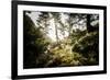 Along the Washington Coast-Steven Gnam-Framed Photographic Print