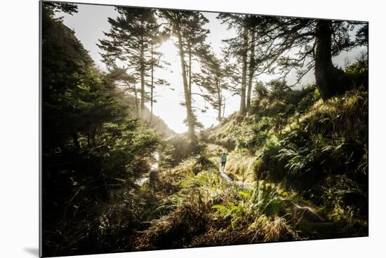 Along the Washington Coast-Steven Gnam-Mounted Photographic Print