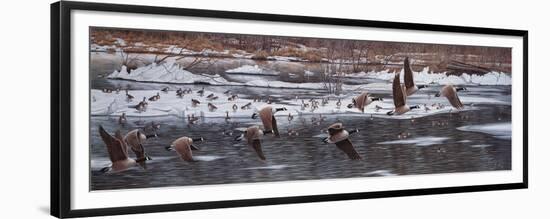 Along the Waterfront-Jeff Tift-Framed Premium Giclee Print