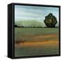 Along the Way II-Robert Charon-Framed Stretched Canvas