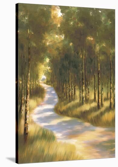 Along the Way-Marc Lucien-Stretched Canvas