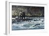Along the Yellowstone - Grizzly-Wilhelm Goebel-Framed Giclee Print