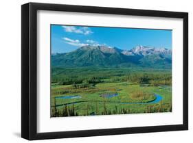 Along Tok Cut Alaska-null-Framed Art Print