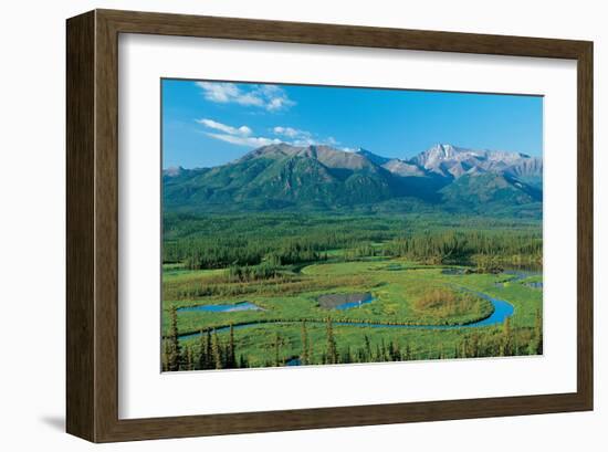 Along Tok Cut Alaska-null-Framed Art Print